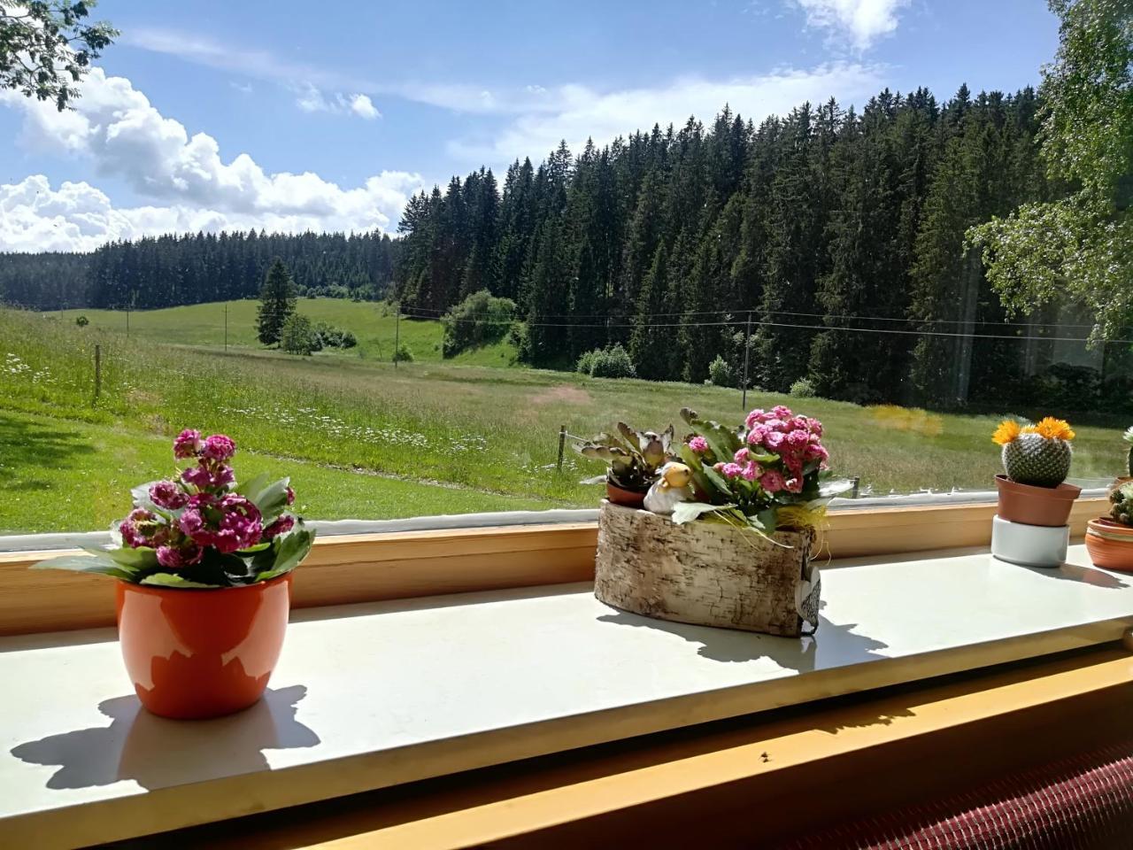 Hotel Kaltenbach Schönwald Exterior photo